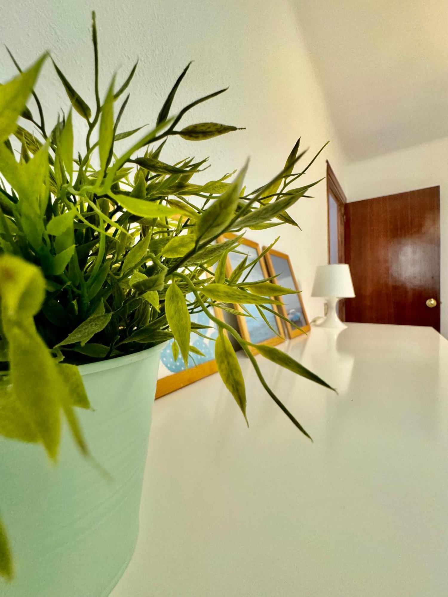 Acogedor Apartamento En Málaga Kültér fotó