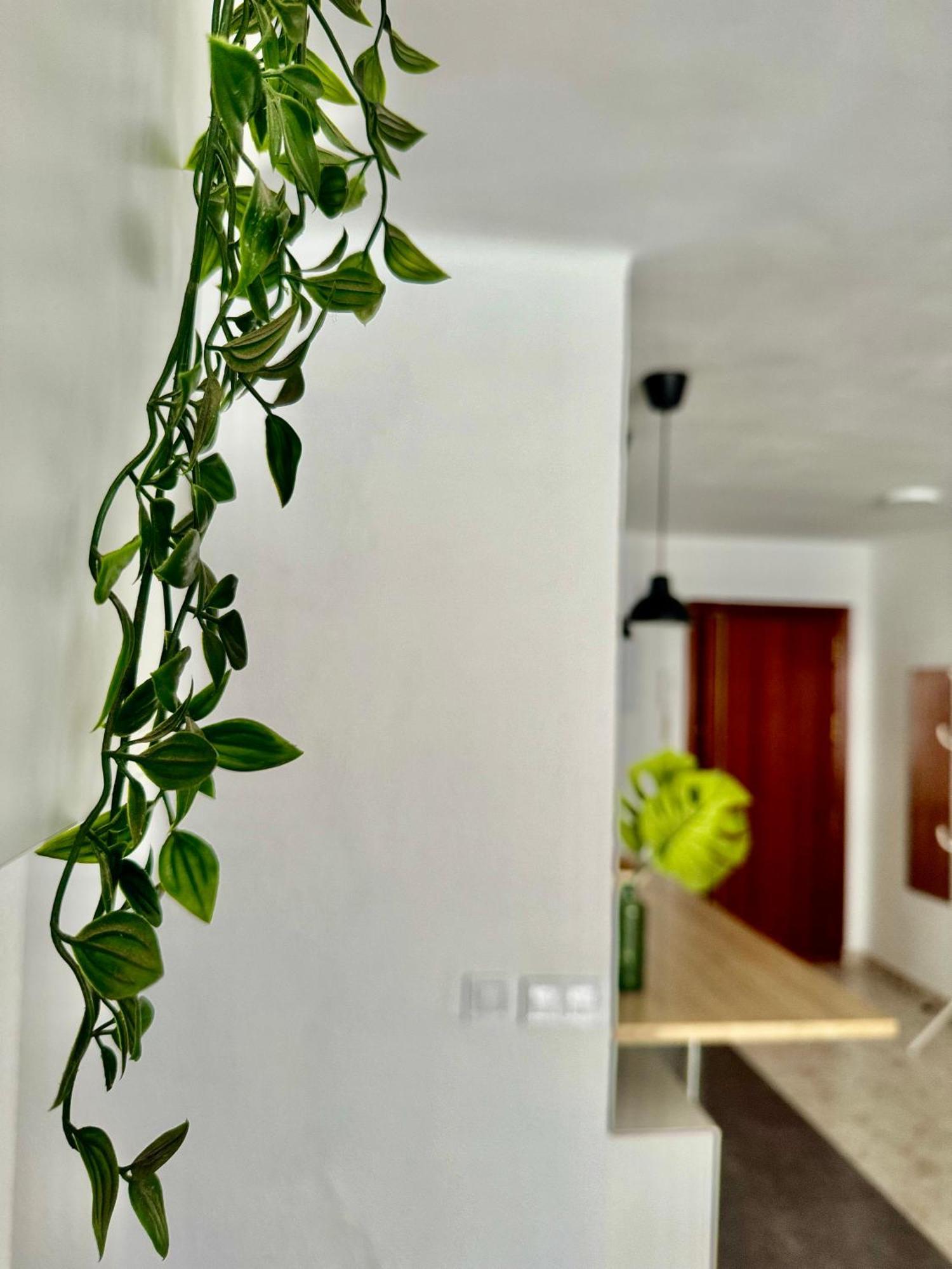 Acogedor Apartamento En Málaga Kültér fotó